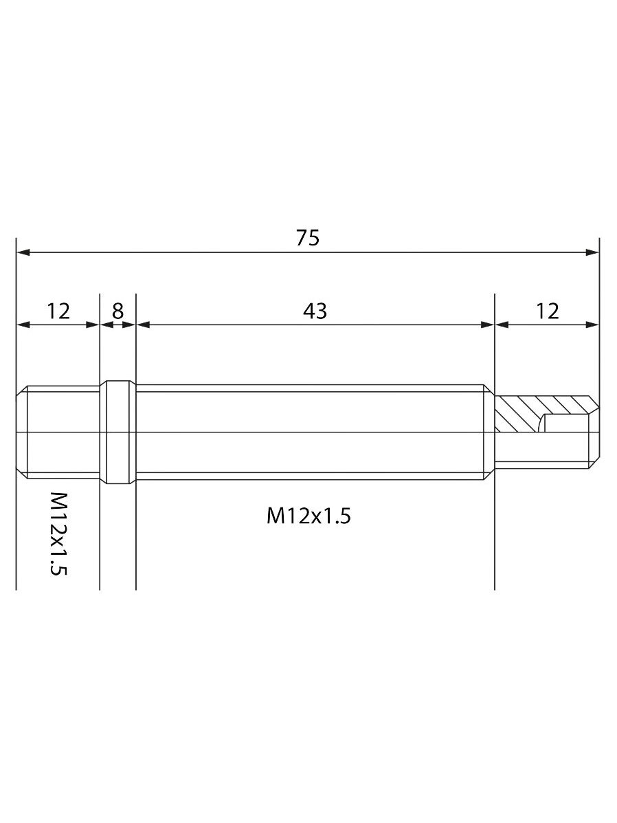 Įsukama smeigė M12x1.5 75mm 2 Įsukama smeigė M12x1.5 75mm 2